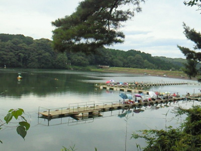 釣り用の桟橋